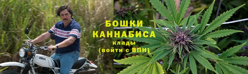 Бошки марихуана THC 21%  Невельск 